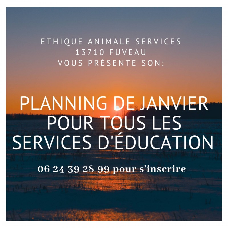 ethique animale services fuveau éducation canine meyreuil gardanne éducation du chiot socialisation sociabilisation