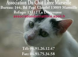 asso chat libre  marseille destrousse pention chat fuveau