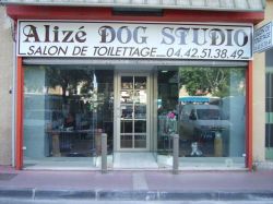 Toilettage Gardanne Alize Dog Studio