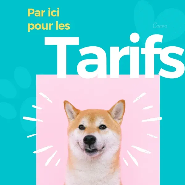 Les tarifs du Pet Hôtel pour la garde de votre chien entre Aix-en-Provence et Marseille