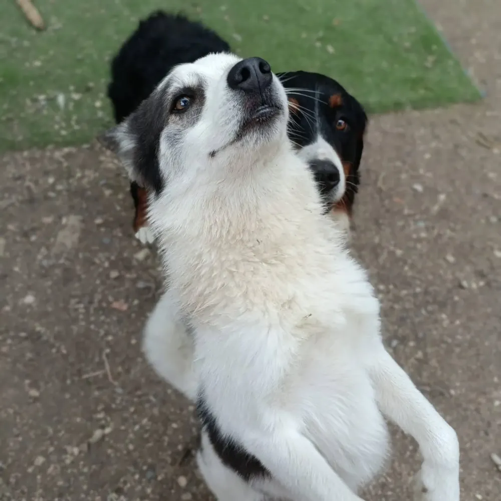 conseils et education