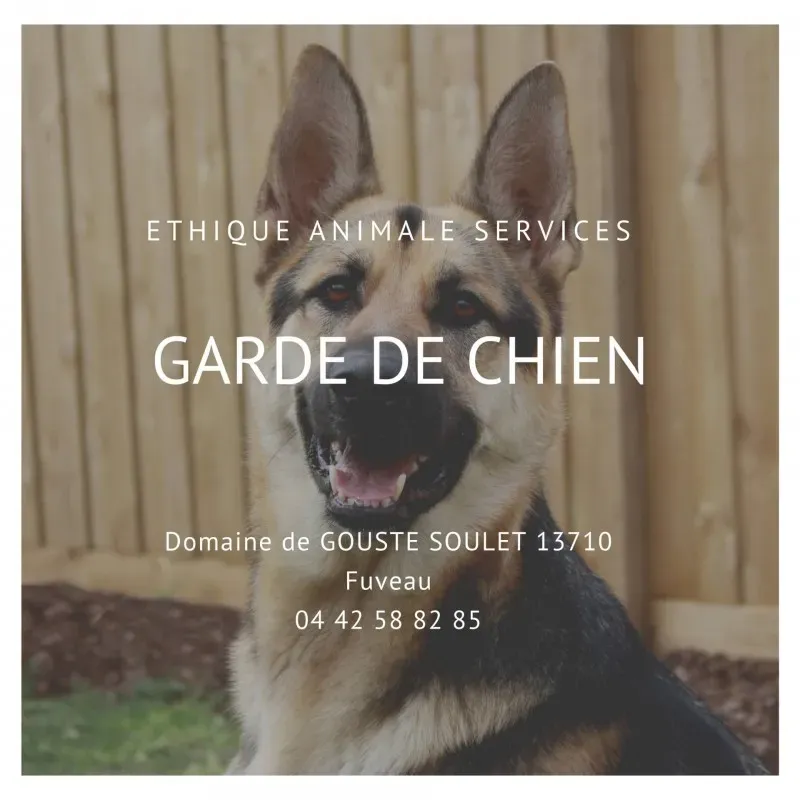 Faire garder son chien en Chenil Pension pendant les vacances entre Aix-en-Provence et Marseille