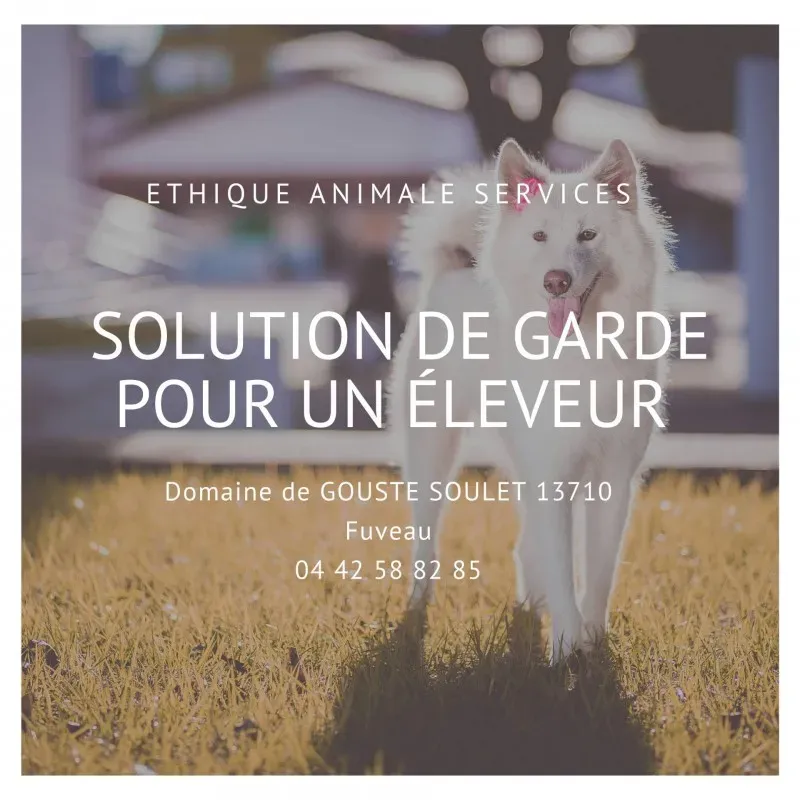 Faire garder ses chiens quand on est éleveur vers Aix en Provence et Marseille