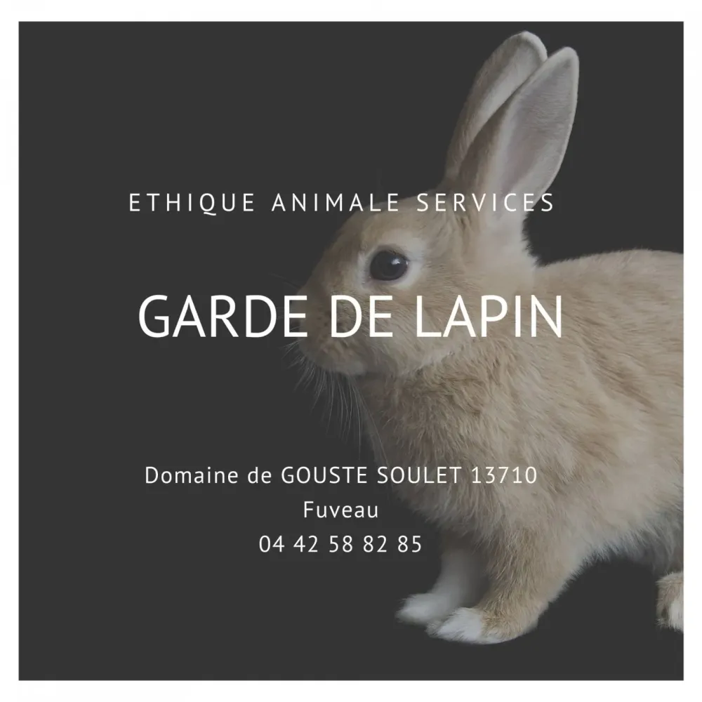 Faire garder son lapin pendant les vacances entre Aix en Provence et Marseille à Fuveau