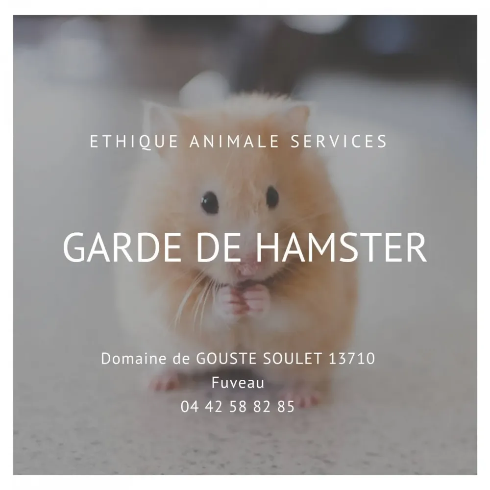 Faire garder son hamster proche de Gardanne entre Aix et Marseille pas cher