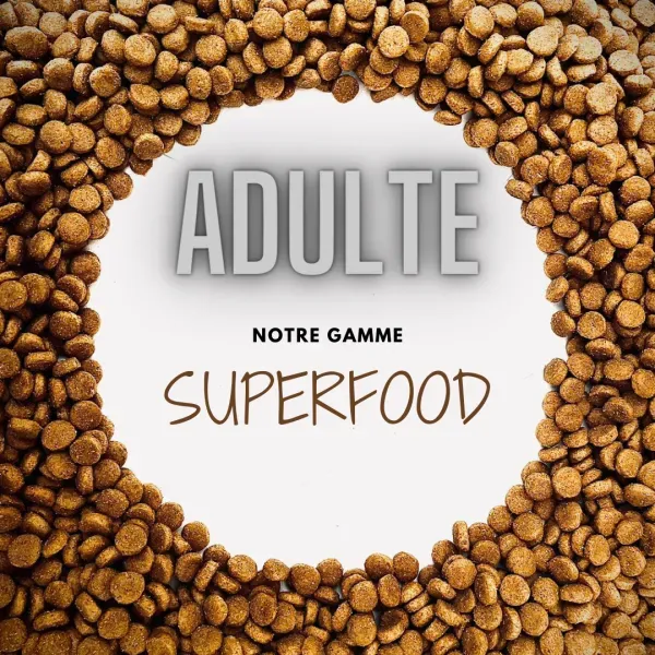 Nos croquettes de qualité haut de gamme Superfood pour CHIEN ADULTE