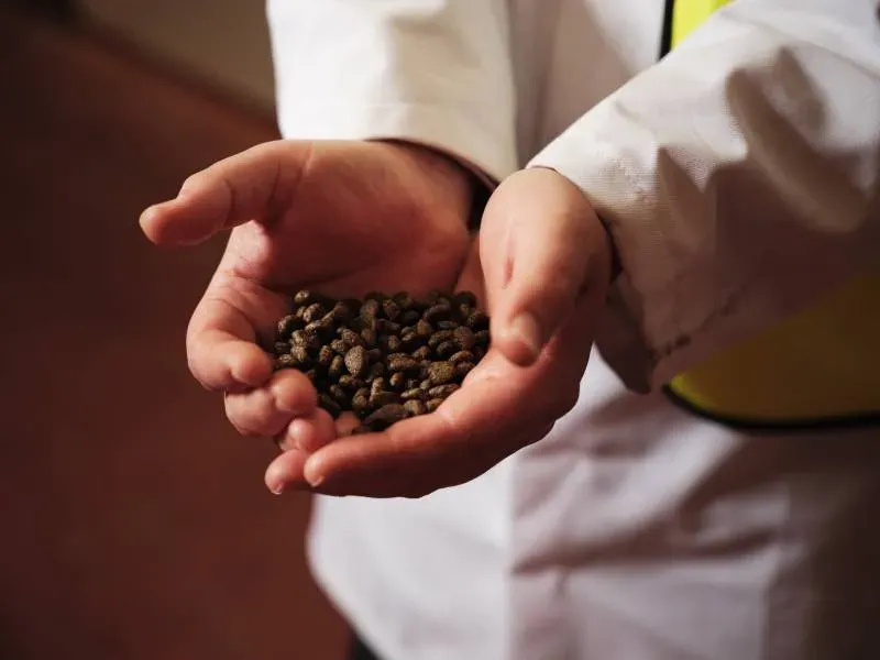 Découvrir nos croquettes pour chien de petites races chez EAS à Fuveau