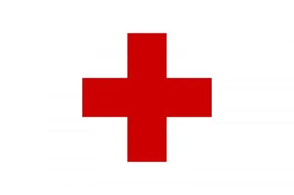 Téléchargez le guide des gestes de premier secours sur vos animaux