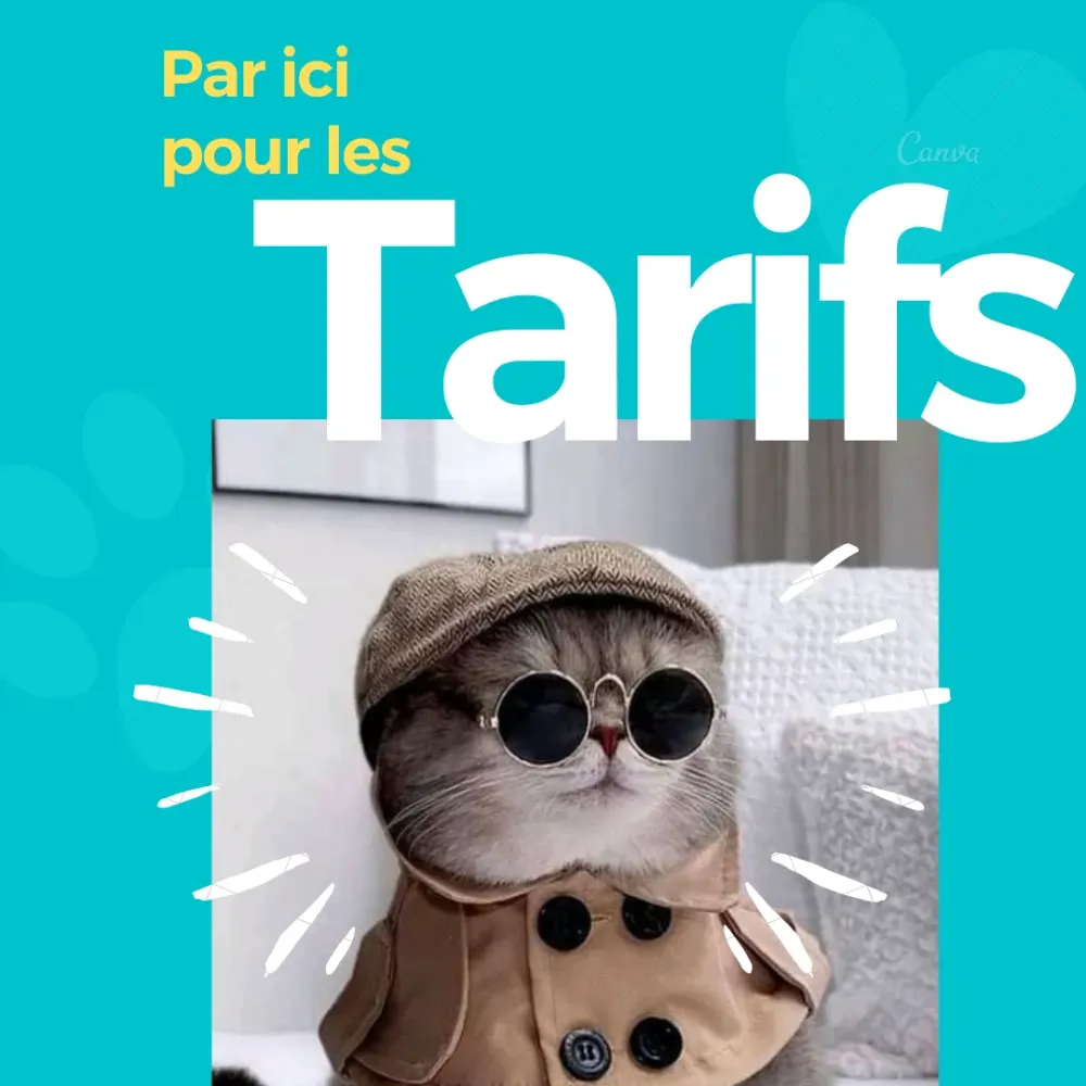 Tarifs pour la garde de votre chat chez EAS entre Aix-en-Provence et Marseille