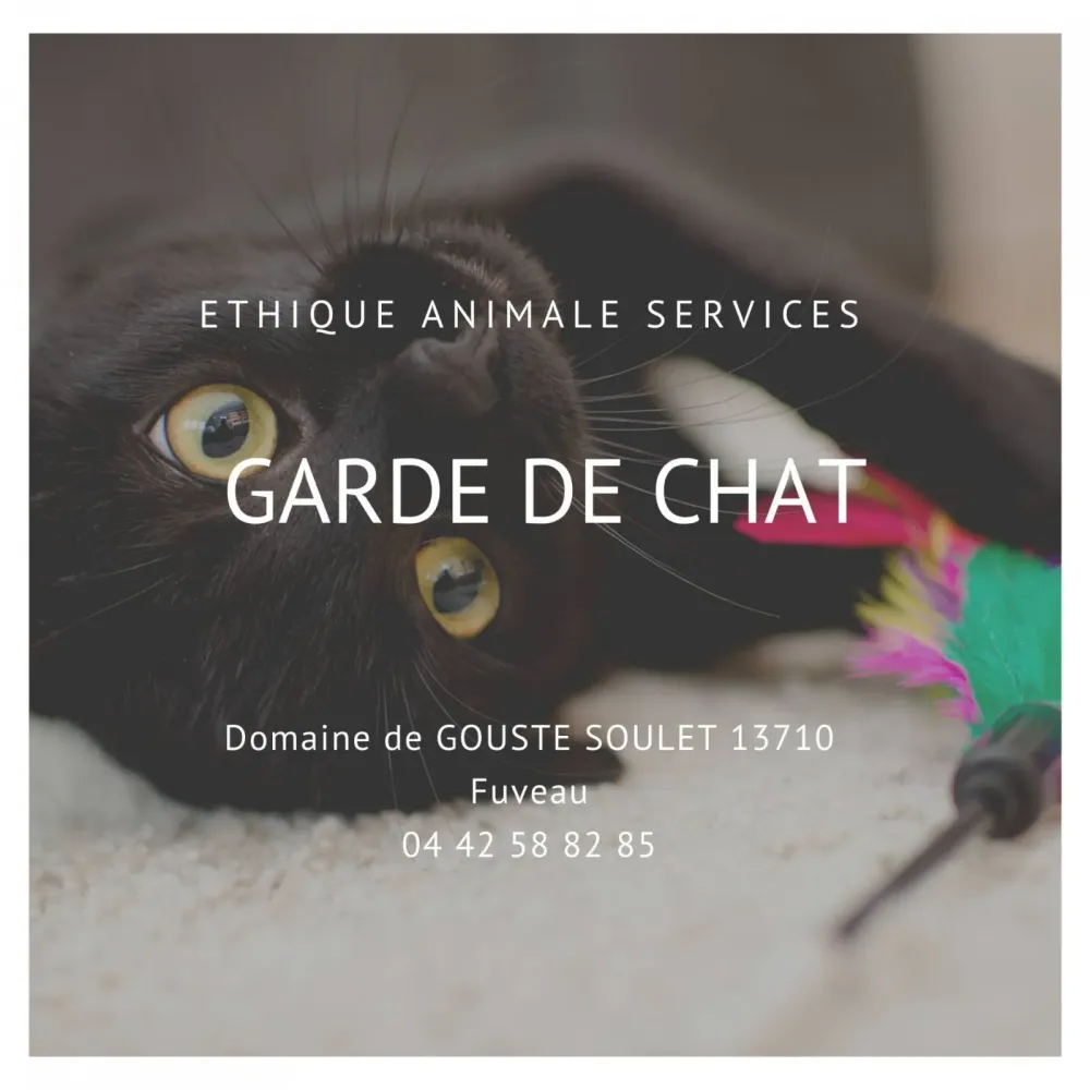 Faire garder son chat par des professionnels sur Fuveau entre Aix et Marseille