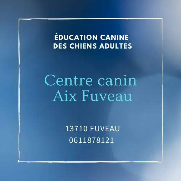 Centre Canin Aix Fuveau : Éducation canine pour chiots et chiens adultes