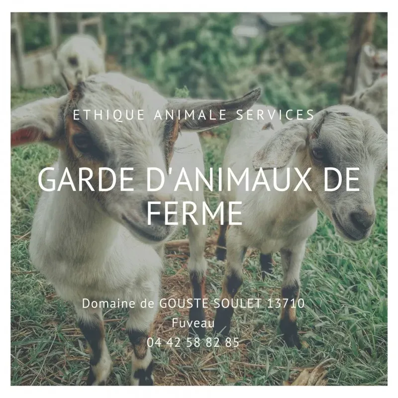 Faire garder des animaux de ferme sur le secteur des Bouches du rhône et du Var