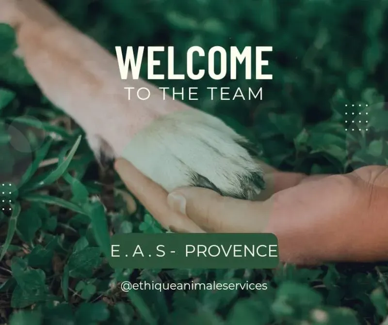 NOTRE EQUIPE CHEZ ETHIQUE ANIMALE SERVICES
